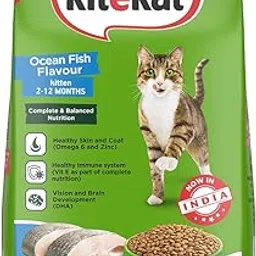 Kitekat Kitten (2-12 Months) Dry Cat Food, Ocean Fish Flavour, 2.8 kg | Complete and Balanced Nutrition-image-0