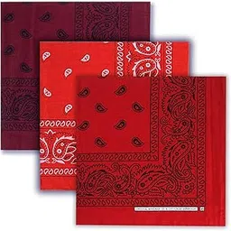 lowercase Paisley Print Cowboy Bandana Handkerchiefs Headband Scarf for Men & Women-picture-24