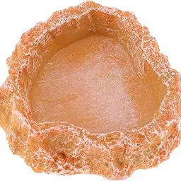 Reptile Food Dish, Resin Lizard Reptile Food Dish, Turtle Water Bowl, Terrarium Feeding Bowl Accessory for Lizard Tortoise Snakes Gecko, Orange, 3.54"x3.54"x0.98"-picture-27