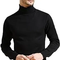 the indian garage co Men Regular Fit Solid Turtle Neck Sweater-picture-27