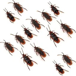WP WANNA PARTY Fake Cockroaches 2.5", Realistic Cockroaches Halloween Prank Toys for Halloween Party Decoration, April Fool's Day Props (Pack of 12), Black Brown-picture-30
