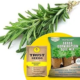 TrustBasket Premium Rosemary (Hybrid) Seeds with Free Germination Potting Soil Mix | Sow and Grow Fresh Healthy Seed in Your Garden Perfect for Home & Terrace Gardening-image-89