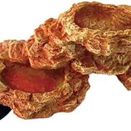 Losa Reptile Feeding Bowl Food Water Resin Dish Pet Vivarium Tortoise Gecko #5-picture-33