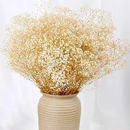 Xtore Dried Warm Gold Grass Bunch for Home Decor (Pack of 1, Warm Gold)-picture-13