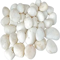 Carve Craft White Polished Stone Marble Pebbles for Home, Garden, Aquarium, Indoor & Outdoor Water Fountains (White, 1 Kg)-picture-37