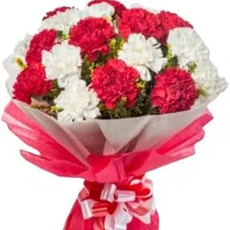 Floralbay Valentine's Day Special Fresh Flowers Bunch of 10 White Carnations and 10 Red Carnation in Double Paper Packing (Bunch of 20)-picture-22