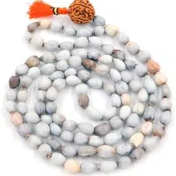 Vaijanti Mala/Natural Vaijanti Mala with Rudraksha/Vaijanti mala Original 108 Rudraksh(Length: 36 inches, Beads: 108+1)-picture-53