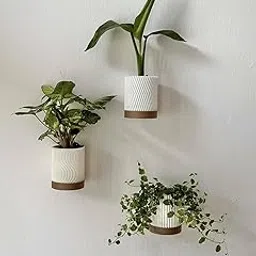 Premium Wall Planter for Balcony, Living Room Home Decor, White and Gold (Pack of 2)-picture-25