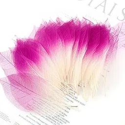 Club Bollywood®50 Skeleton Leaves Magnolia Tree Natural Scrapbooking Craft DIY Card Wedding Pink White| Dried Flowers| Dried Flowers|Crafts|• Crafts| Approx. 50 X Skeleton Leaves-picture-35
