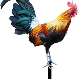 Rooster Garden Stake Yard Sign Realistic Yard Art for Lawn Pathway Courtyard 21.5Cmx25Cm-picture-25