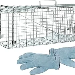 ANT MARCH Live Animal Cage Trap 24' Steel Humane Release Rodent Cage for Rabbits, Stray Cat, Squirrel, Raccoon, Mole, Gopher, Chicken, Opossum, Skunk, Chipmunks, Groundhog Squire-picture-48