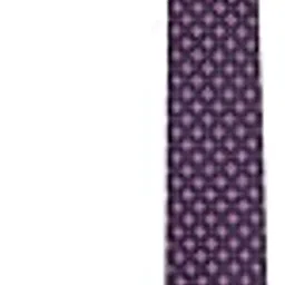 peter england Men Purple Embroidered Tie-picture-34