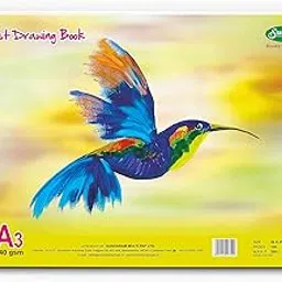 Sundaram | A3 Sketch Book | Spiral Bound (Wiro) | 100 Pages (50 Sheets) | 42 x 29.5 cm | Plain | Pack of 1-picture-20