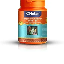 Growel Intan Breeder & Grower Food - B1 (<0.18mm Slow Sinking Crumble) | 30gm - Highly Nutritious Ornamental Fish Food for A Range of Feed from Fry to Grow Out Stage for Viviparous & Oviparous Fish-picture-24