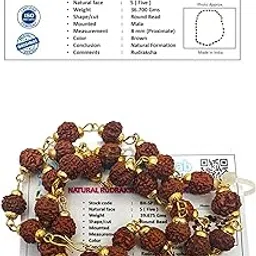 brij haat Rudraksha Mala, 5 Face Religious Necklace, 30 cm, Brown, Unisex Certified-picture-19