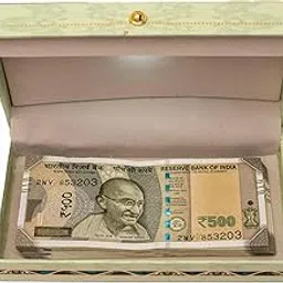 Printed Cash Box – Secure, Stylish & Customizable Design for Cash Storage (Premium Earthy) image 1