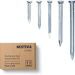 Nestiva Living Hardware Nail Assortment Kit, Concrete Nails, Galvanized Steel, Pack of 100, Construction and DIY Projects-image-43