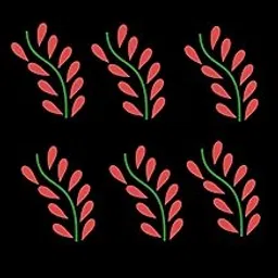 Design |Tshirt| Bedsheet Design|Dress Design|Pack of Three-image-8