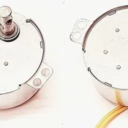 ESPtronics (2 Pcs) Auto 220v-240v 4w Synchronous AC Motor Control Swing Motor 220 Volt Ac for Incubator 5/6rpm Electric Small-picture-19