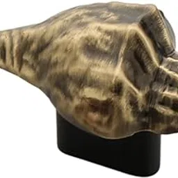 Fittingo Shell Shape Drawer Knob for Cabinets, Wardrobes, Cupboards & Drawers/Decorative Sea Conch Design Zinc Alloy Knob for Home Furniture & Nautical Theme Decor (4, Brass Antique)-picture-16