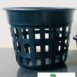 Earatagropots Plastic Orchid Plant Pot, Multicolour, 18Cm X 15Cm X 12 Cm, Pack Of 8 image 3