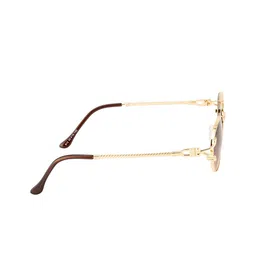 Ted Smith Unisex Brown Lens & Gold-Toned Round Sunglasses with UV Protected Lens image 5