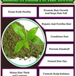 keshvenna naturals 100% organic And Natural Rajasthani, dry (whole) Henna Leaves Mehandi Leaves,mehandi leaf(patta) 200gm image 4
