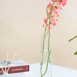 DecorTwist Transparent Solid Decorative Glass Flower Vase-image-48