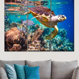 POSTERS AND TRUSS 3 Pcs Blue & Green Vivid Sea Life Printed Framed Wall Art-image-90