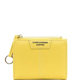 Alexvyan Women Textured RFID Two Fold Wallet-picture-13
