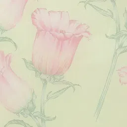 Rajnandini Green & Pink Organza Floral Print Saree image 3