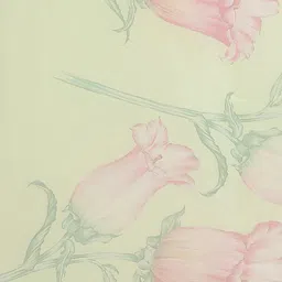 Rajnandini Green & Pink Organza Floral Print Saree image 4