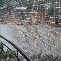 SAI Balaji Enterprises UV Stabilized Nylon Pigeon Net_Bird Net_Monkey Net_8 X 10 Feet_White Color SBPGN32 image 3