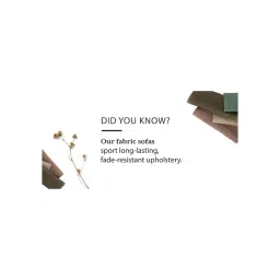 urban ladder create Winchester Premium 4 Seater Fabric Sofa in Birch Beige Colour image 4