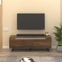 bluewud Blesky Mini Engineering Wood Floor Standing Tv Entertainment In Brown Maple Finish-picture-13