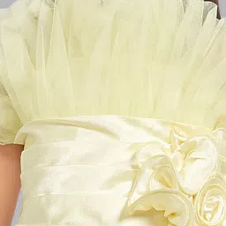 Pink Chick Girls Ruffled Tulle Net Fit & Flare Midi Dress image 2