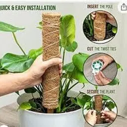 generic CosaCentrum Coco Pole Moss Stick Garden Mulch - 1 ft CoirSticks for Indoor Outdoor House Plant Creepers Climbers Vine Plants Pothos Money Plant Monstera Support (4 feet) image 2