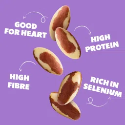 yogabars Yogabar Premium Brazil Nuts 250g, High Protein and Fibre, Zero Cholesterol, Ethically Sourced image 3