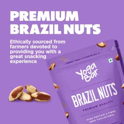yogabars Yogabar Premium Brazil Nuts 250g, High Protein and Fibre, Zero Cholesterol, Ethically Sourced image 4