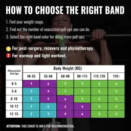 SLOVIC Dual Color Heavy Resistance Band (Green & Grey) for Workout Set Exercise & Stretching Pull Up Bands for Home Exercise Toning Loop Bands for Gym Men & Women Resistance Bands (With Door Anchor) image 2