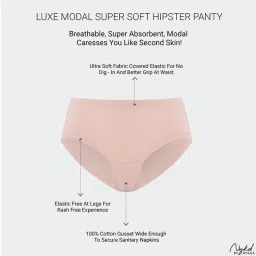 Nykd by Nykaa Super Soft Luxe Modal Hipster Panty NYP383 PO2 Nude & Eggplant image 4