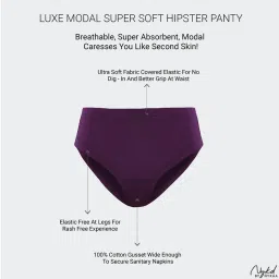 Nykd by Nykaa Super Soft Luxe Modal Hipster Panty NYP383 PO2 Nude & Eggplant image 5