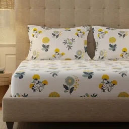 Urban Space Radiance White Cotton Bedsheet with 2 Pillow Covers (King)-image-0