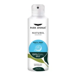 Park Avenue Naturel Misty Trail Deodorant For Men-picture-15