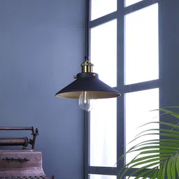 shoppeefry Nora Black Metal Single Hanging Light By Ss Lightings-picture-14