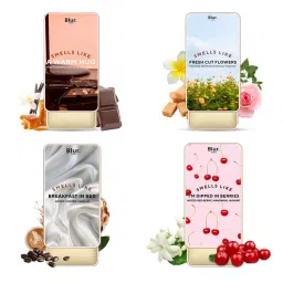 BLUR India Solid Perfume Warm Hug + Flowers + BIB + Berries Alcohol-Free Perfume Pack of 4-image-67