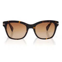 Shisen Fox Women Arias Feza Acetate Brown Square Uv Coating Full Rim Sunglass-Asg14 (52)-picture-20