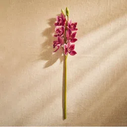 Pure Home + Living Pink Boat Orchid Faux Flower Stem - Single-image-21