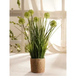 Pure Home + Living Green Artificial Onion Flower with Rattan Basket-picture-20