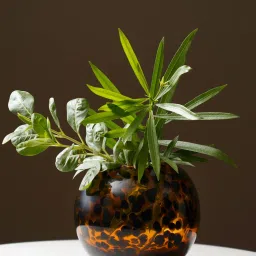 Pure Home + Living Brown Tortoiseshell Pattern Round Glass Vase-picture-25